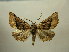  ( - BC AL Geo 00398)  @13 [ ] Copyright (2010) Unspecified Research Collection of Antoine Leveque