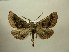  ( - BC AL Geo 00399)  @13 [ ] Copyright (2010) Unspecified Research Collection of Antoine Leveque