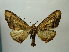  ( - BC AL Geo 00411)  @14 [ ] Copyright (2010) Unspecified Research Collection of Antoine Leveque