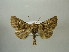  ( - BC AL Geo 00428)  @13 [ ] Copyright (2010) Unspecified Research Collection of Antoine Leveque