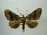  (Pero participa - BC AL Geo 00436)  @14 [ ] Copyright (2010) Unspecified Research Collection of Antoine Leveque