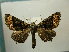  ( - BC AL Geo 00471)  @14 [ ] Copyright (2010) Unspecified Research Collection of Antoine Leveque