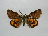  ( - BC AL Geo 00510)  @11 [ ] Copyright (2010) Unspecified Research Collection of Antoine Leveque