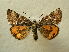  ( - BC AL Geo 00520)  @13 [ ] Copyright (2010) Unspecified Research Collection of Antoine Leveque
