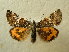  ( - BC AL Geo 00522)  @13 [ ] Copyright (2010) Unspecified Research Collection of Antoine Leveque