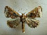  ( - BC AL Geo 00533)  @14 [ ] Copyright (2010) Unspecified Research Collection of Antoine Leveque