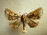  ( - BC AL Geo 00536)  @13 [ ] Copyright (2010) Unspecified Research Collection of Antoine Leveque