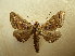  ( - BC AL Geo 00537)  @13 [ ] Copyright (2010) Unspecified Research Collection of Antoine Leveque