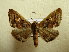  ( - BC AL Geo 00538)  @13 [ ] Copyright (2010) Unspecified Research Collection of Antoine Leveque