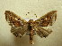  ( - BC AL Geo 00539)  @13 [ ] Copyright (2010) Unspecified Research Collection of Antoine Leveque
