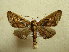  ( - BC AL Geo 00540)  @13 [ ] Copyright (2010) Unspecified Research Collection of Antoine Leveque