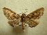 ( - BC AL Geo 00541)  @13 [ ] Copyright (2010) Unspecified Research Collection of Antoine Leveque