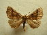  ( - BC AL Geo 00553)  @14 [ ] Copyright (2010) Unspecified Research Collection of Antoine Leveque