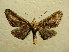  ( - BC AL Geo 00574)  @12 [ ] Copyright (2010) Unspecified Research Collection of Antoine Leveque