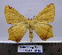  ( - BC ZSM AL 0040)  @15 [ ] CreativeCommons - Attribution Non-Commercial No Derivatives (2010) Unspecified SNSB, Zoologische Staatssammlung Muenchen
