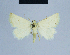  ( - BC ZSM Lep 54643)  @13 [ ] CreativeCommons - Attribution Non-Commercial Share-Alike (2014) Axel Hausmann/Bavarian State Collection of Zoology (ZSM) SNSB, Zoologische Staatssammlung Muenchen