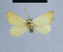  ( - BC ZSM Lep 54752)  @12 [ ] CreativeCommons - Attribution Non-Commercial Share-Alike (2014) Axel Hausmann/Bavarian State Collection of Zoology (ZSM) SNSB, Zoologische Staatssammlung Muenchen