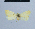  ( - BC ZSM Lep 54754)  @12 [ ] CreativeCommons - Attribution Non-Commercial Share-Alike (2014) Axel Hausmann/Bavarian State Collection of Zoology (ZSM) SNSB, Zoologische Staatssammlung Muenchen