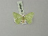  ( - BC ZSM Lep 69832)  @12 [ ] CreativeCommons - Attribution Non-Commercial Share-Alike (2014) Axel Hausmann/Bavarian State Collection of Zoology (ZSM) SNSB, Zoologische Staatssammlung Muenchen