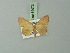  ( - BC ZSM Lep 69973)  @13 [ ] CreativeCommons - Attribution Non-Commercial Share-Alike (2014) Axel Hausmann/Bavarian State Collection of Zoology (ZSM) SNSB, Zoologische Staatssammlung Muenchen