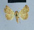  ( - BC ZSM Lep 80938)  @13 [ ] CreativeCommons - Attribution Non-Commercial Share-Alike (2014) Axel Hausmann/Bavarian State Collection of Zoology (ZSM) SNSB, Zoologische Staatssammlung Muenchen