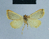  ( - BC ZSM Lep 81129)  @13 [ ] CreativeCommons - Attribution Non-Commercial Share-Alike (2014) Axel Hausmann/Bavarian State Collection of Zoology (ZSM) SNSB, Zoologische Staatssammlung Muenchen