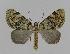  ( - BC EF Alc 00052)  @14 [ ] Copyright (2010) Unspecified Research Collection of Egbert Friedrich