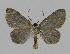  ( - BC EF Alc 00052)  @13 [ ] Copyright (2010) Unspecified Research Collection of Egbert Friedrich