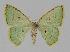  ( - BC EF Alc 00057)  @14 [ ] Copyright (2010) Unspecified Research Collection of Egbert Friedrich