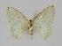  ( - BC EF Alc 00057)  @14 [ ] Copyright (2010) Unspecified Research Collection of Egbert Friedrich