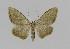  ( - BC EF Alc 00065)  @13 [ ] Copyright (2010) Unspecified Research Collection of Egbert Friedrich