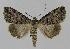 ( - BC EF Alc 00069)  @14 [ ] Copyright (2010) Unspecified Research Collection of Egbert Friedrich