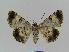  ( - BC EF Alc 00071)  @13 [ ] Copyright (2010) Unspecified Research Collection of Egbert Friedrich