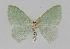 ( - BC EF Alc 00073)  @13 [ ] Copyright (2010) Unspecified Research Collection of Egbert Friedrich