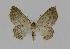  ( - BC EF Alc 00074)  @13 [ ] Copyright (2010) Unspecified Research Collection of Egbert Friedrich