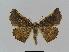  ( - BC EF Alc 00079)  @14 [ ] Copyright (2010) Unspecified Research Collection of Egbert Friedrich