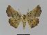  ( - BC EF Alc 00079)  @13 [ ] Copyright (2010) Unspecified Research Collection of Egbert Friedrich