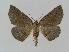  ( - BC EF Alc 00080)  @14 [ ] Copyright (2010) Unspecified Research Collection of Egbert Friedrich
