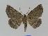  ( - BC EF Alc 00080)  @13 [ ] Copyright (2010) Unspecified Research Collection of Egbert Friedrich