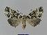  ( - BC EF Alc 00083)  @13 [ ] Copyright (2010) Unspecified Research Collection of Egbert Friedrich