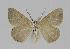  ( - BC EF Alc 00085)  @13 [ ] Copyright (2010) Unspecified Research Collection of Egbert Friedrich