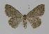  ( - BC EF Alc 00086)  @13 [ ] Copyright (2010) Unspecified Research Collection of Egbert Friedrich