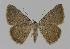  ( - BC EF Alc 00087)  @14 [ ] Copyright (2010) Unspecified Research Collection of Egbert Friedrich