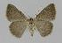  ( - BC EF Alc 00087)  @14 [ ] Copyright (2010) Unspecified Research Collection of Egbert Friedrich
