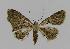  ( - BC EF Alc 00095)  @13 [ ] Copyright (2010) Unspecified Research Collection of Egbert Friedrich
