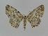  ( - BC EF Alc 00103)  @13 [ ] Copyright (2010) Unspecified Research Collection of Egbert Friedrich