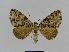  ( - BC EF Alc 00104)  @13 [ ] Copyright (2010) Unspecified Research Collection of Egbert Friedrich