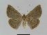  ( - BC EF Alc 00105)  @12 [ ] Copyright (2010) Unspecified Research Collection of Egbert Friedrich