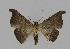  ( - BC EF Alc 00111)  @12 [ ] Copyright (2010) Unspecified Research Collection of Egbert Friedrich