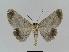  ( - BC EF Alc 00132)  @13 [ ] Copyright (2010) Unspecified Research Collection of Egbert Friedrich